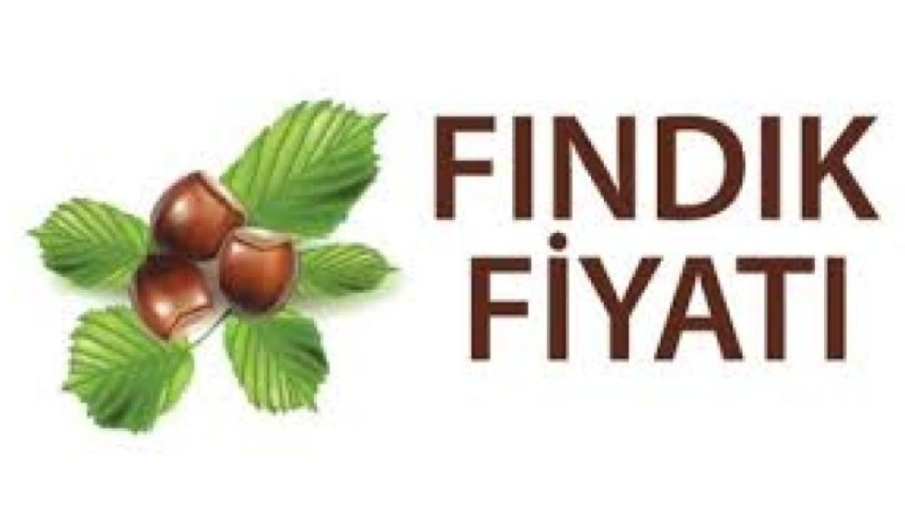 28.03.2024 günlük Fındık Fiyatı
